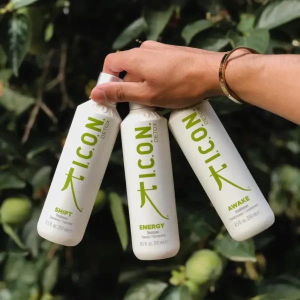 I.C.O.N.-DETOX-linija-1 icon detox energy