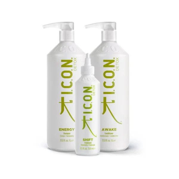 detox-liters icon detox energy