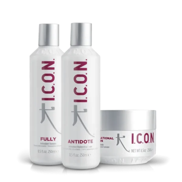 icon-fully-antioxidants icon fully antioksidacinis šampūnas