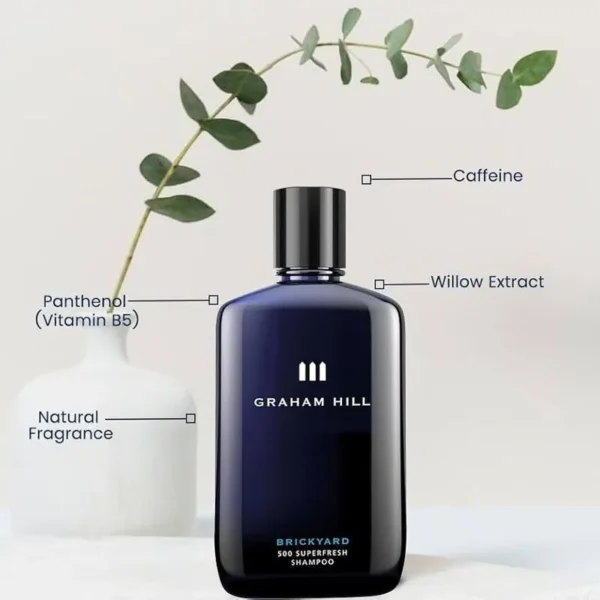 GRAHAM HILL Brickyard 500 Superfresh Shampoo