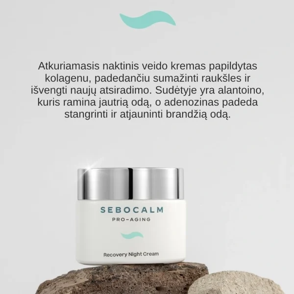 SEBOCALM Recovery Night Cream Naktinis Veido Kremas 50 ml