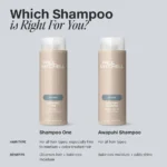 PAUL MITCHELL Awapuhi Shampoo Drėkinantis Šampūnas
