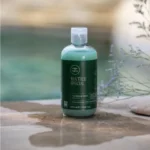 Paul Mitchell Tea Tree Special Shampoo Energizuojantis Šampūnas